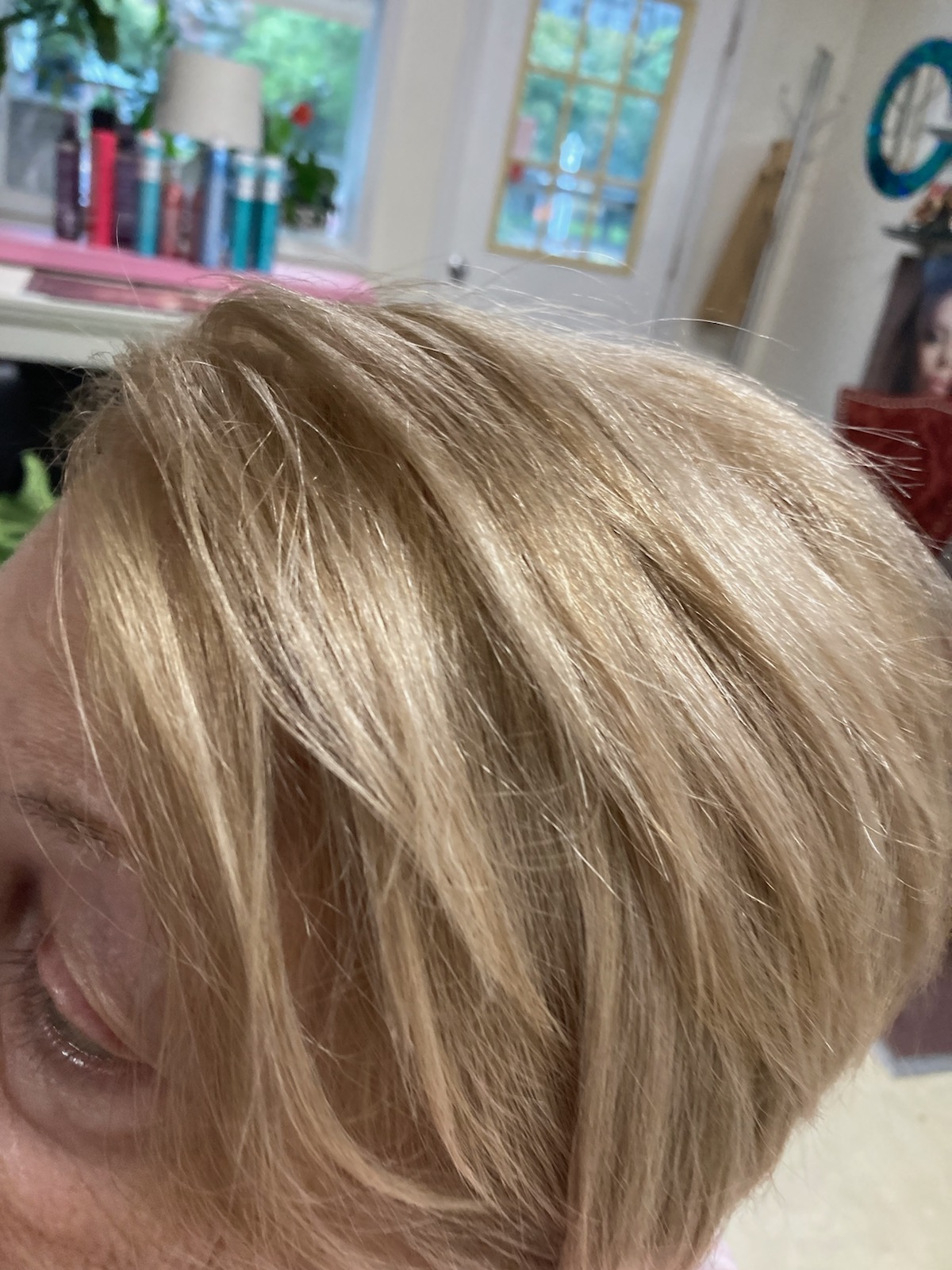 Hair color salon / Hair styling